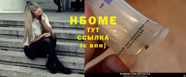 хмурый Алзамай
