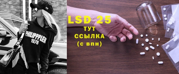 хмурый Алзамай