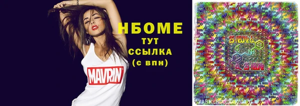 хмурый Алзамай