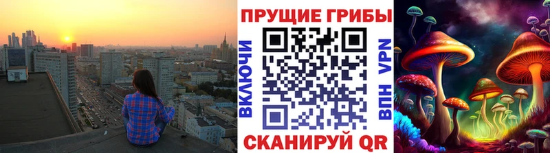 Галлюциногенные грибы Psilocybe  Бирск 